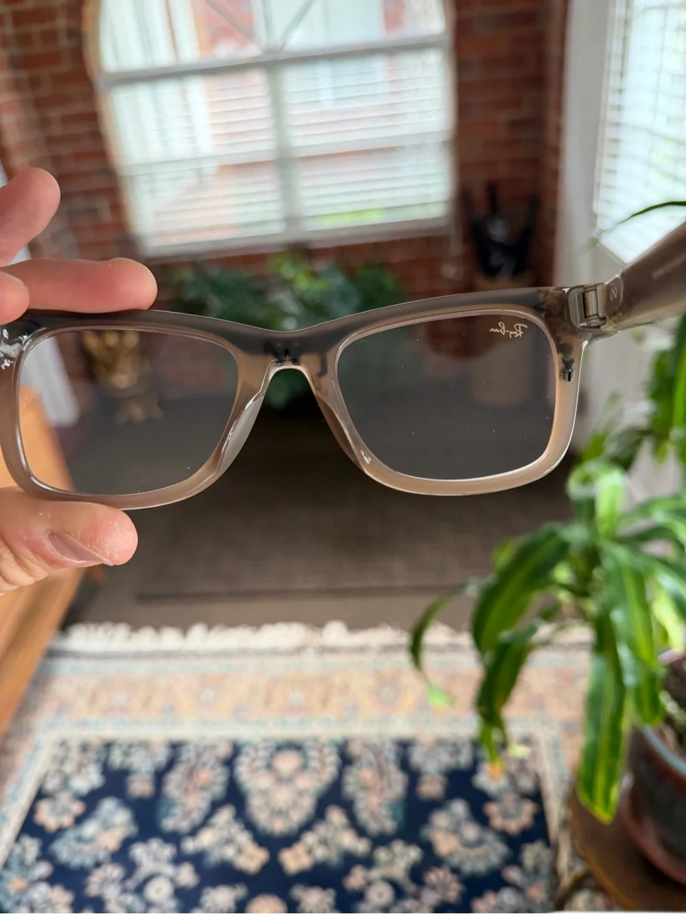 Ray-Ban about ray